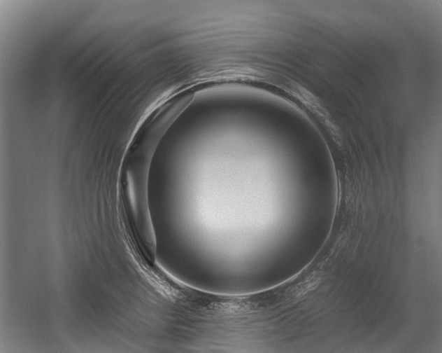 X0000057581234200509191442