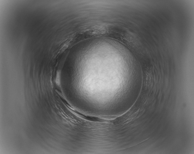 X0000057581250200509191441