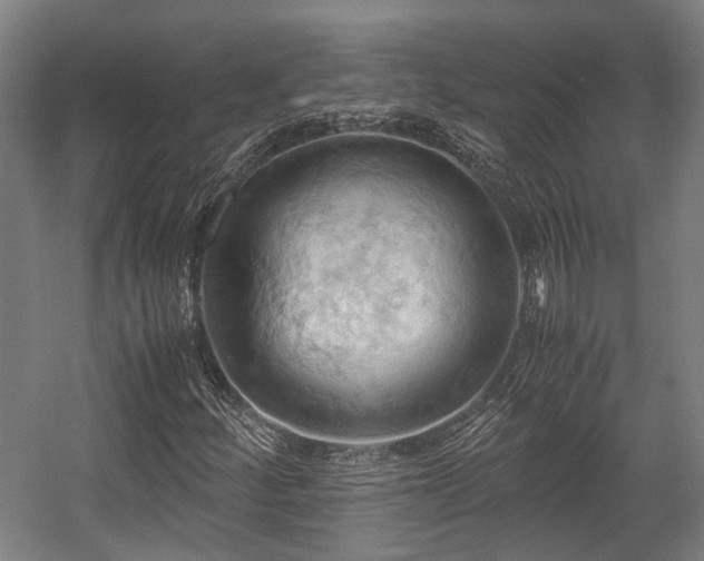 X0000057581252200509191441