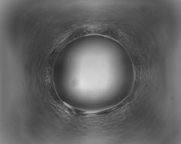 X0000057581253200509191441