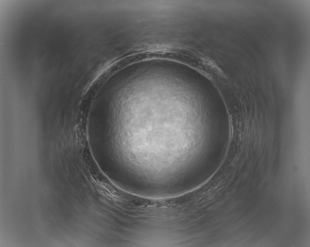 X0000057581256200509191441