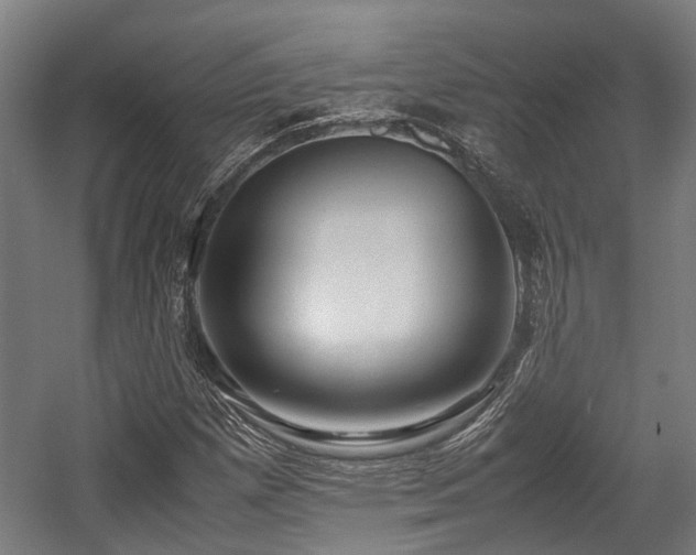 X0000057581257200509191441