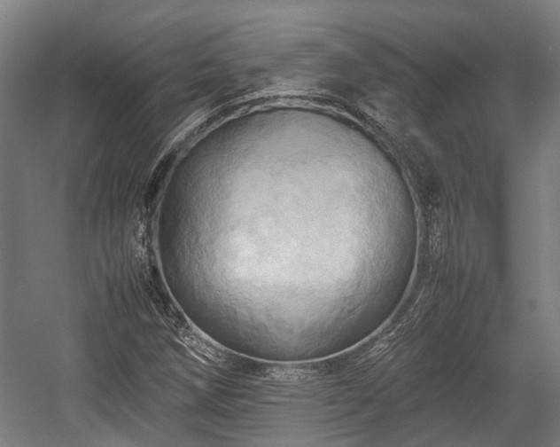 X0000057581258200509191441
