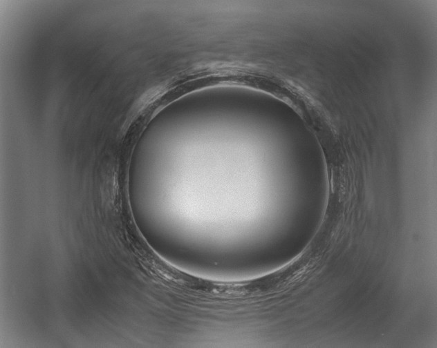 X0000057581261200509191441