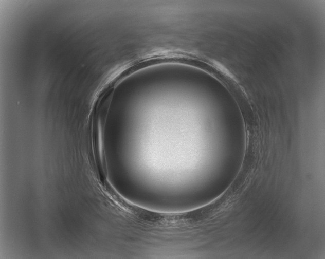 X0000057581269200509191441