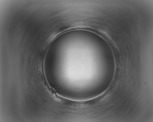 X0000057581273200509191441