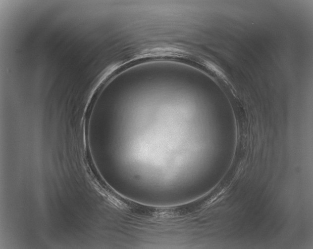 X0000057581275200509191441