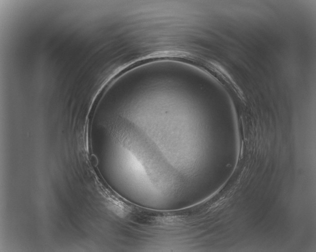 X0000057581276200509191441