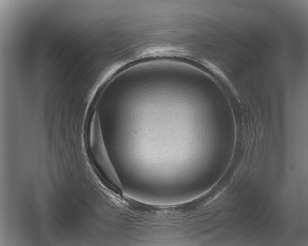 X0000057581277200509191441