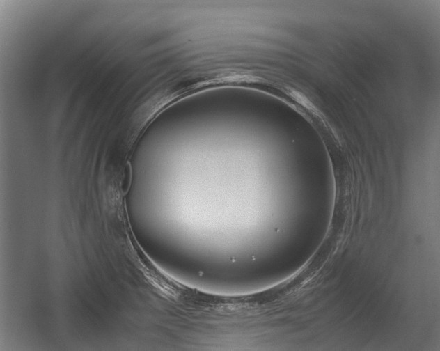 X0000057581281200509191441