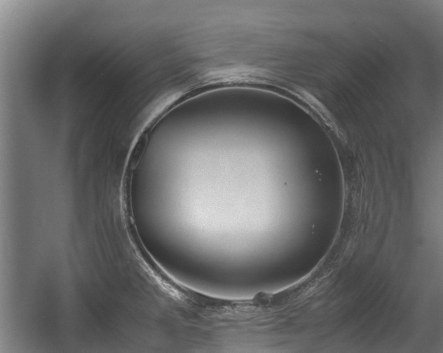 X0000057581285200509191441