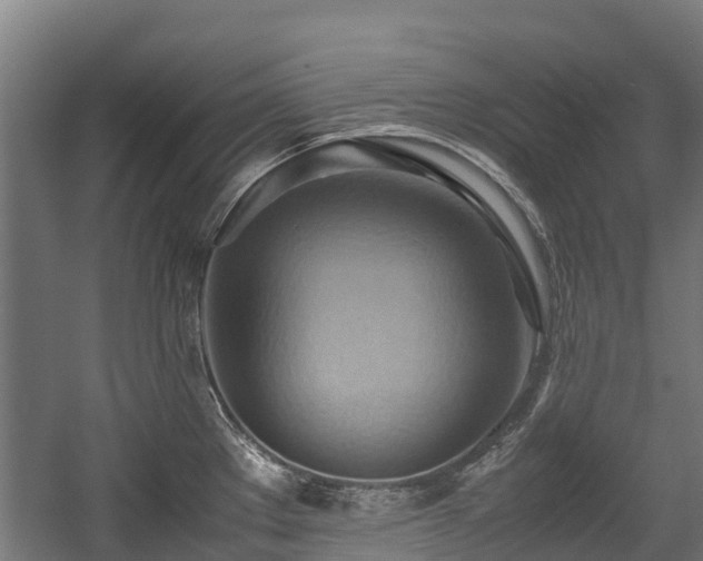 X0000057581289200509191441