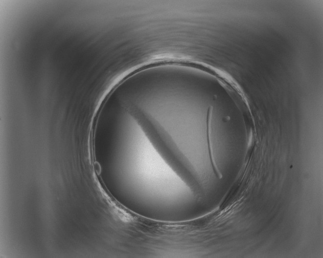 X0000057581295200509191441