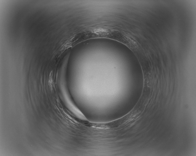 X0000057581298200509191440