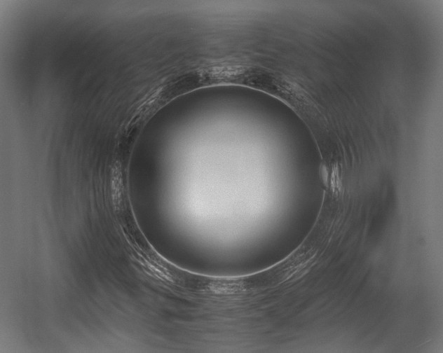 X0000057581299200509191440