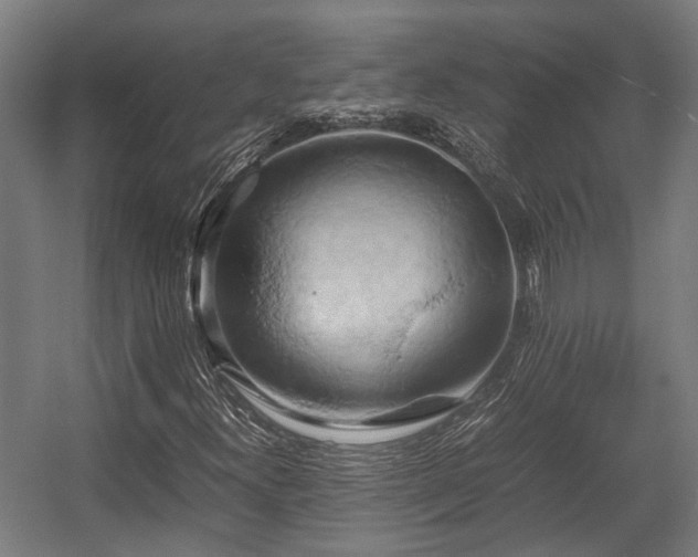 X0000057581300200509191440