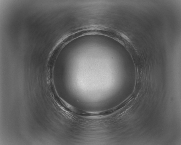 X0000057581310200509191440
