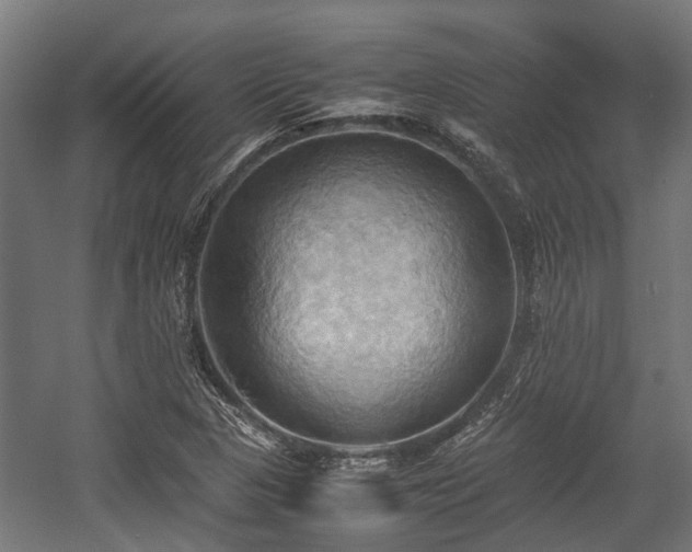 X0000057581313200509191440