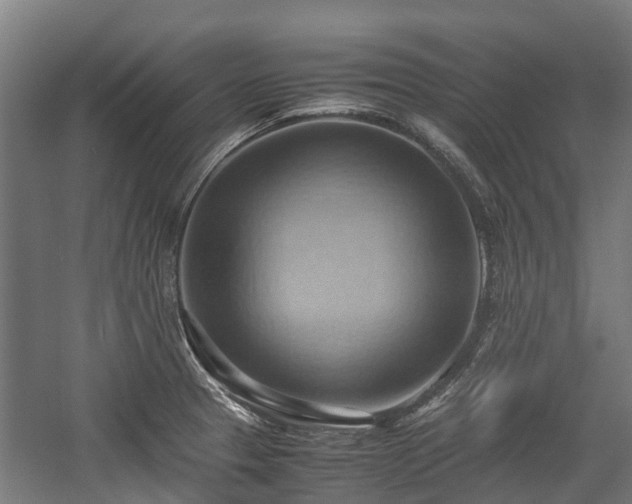 X0000057581329200509191440