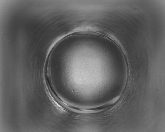 X0000057581344200509191441