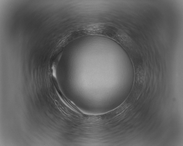 X0000057581346200509191440