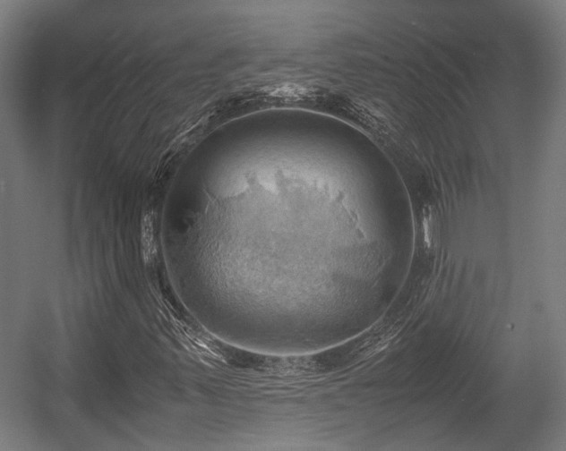 X0000057581347200509191440