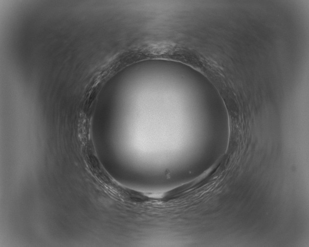 X0000057581349200509191440