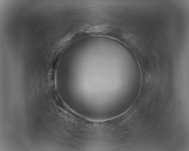 X0000057581350200509191440