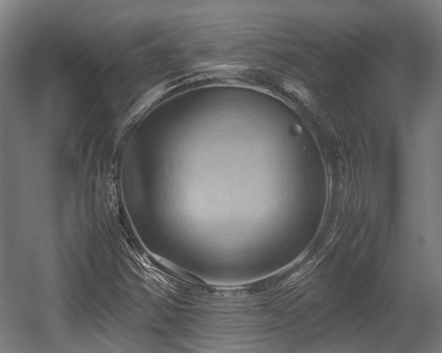 X0000057581354200509191440