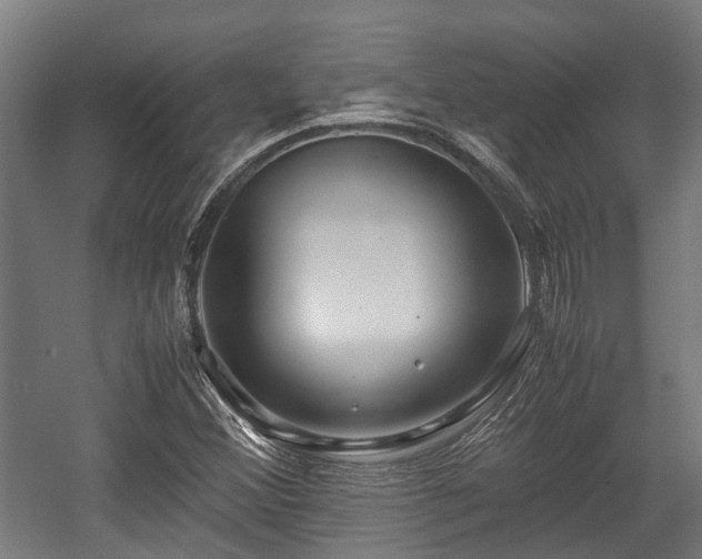 X0000057581356200509191440