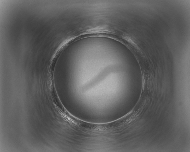 X0000057581358200509191440