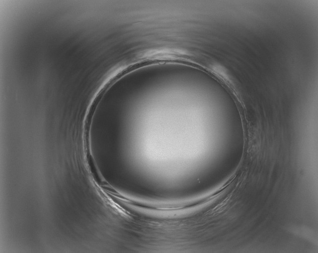 X0000057581384200509191439