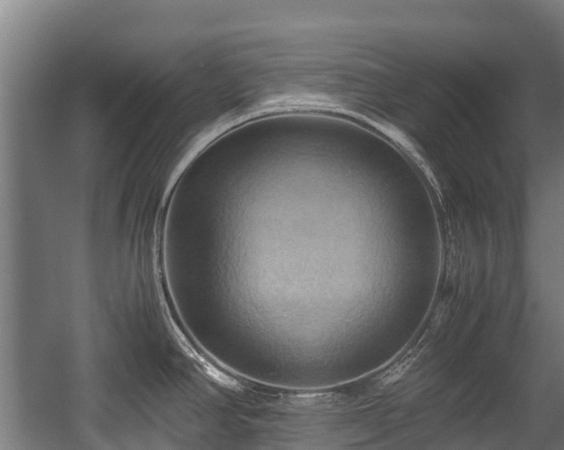 X0000057581390200509191439