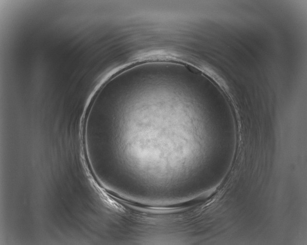 X0000057581392200509191439