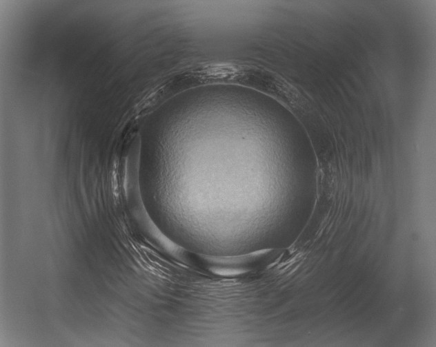 X0000057581394200509191438