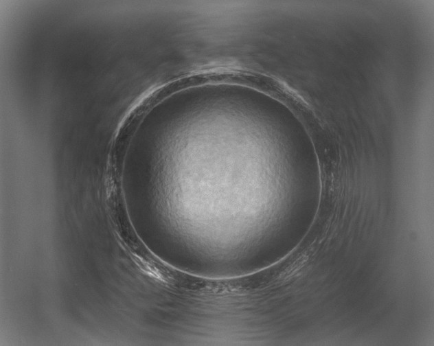 X0000057581400200509191438