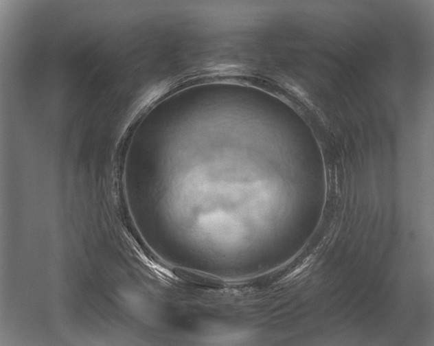 X0000057581405200509191438