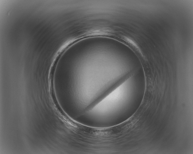 X0000057581419200509191439