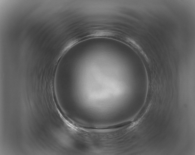 X0000057581425200509191439