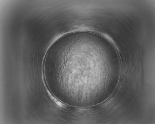 X0000057581439200509191439
