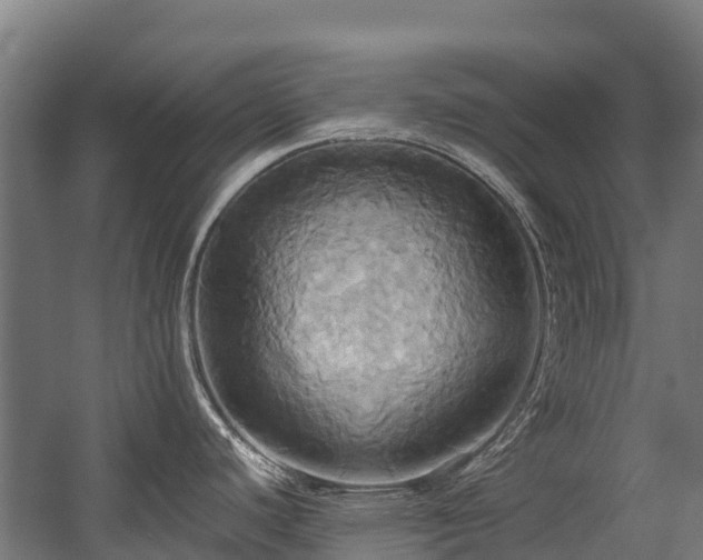 X0000057581440200509191439