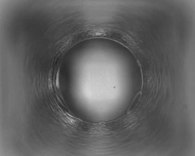 X0000057581442200509191438