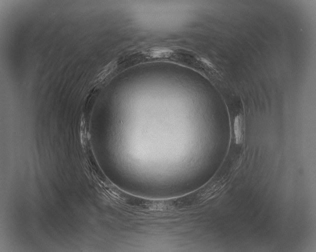 X0000057581443200509191438