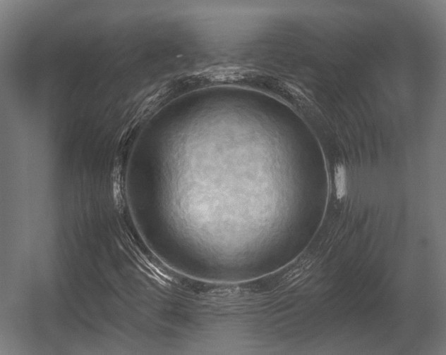 X0000057581444200509191438