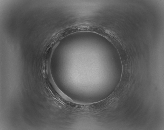 X0000057581445200509191438