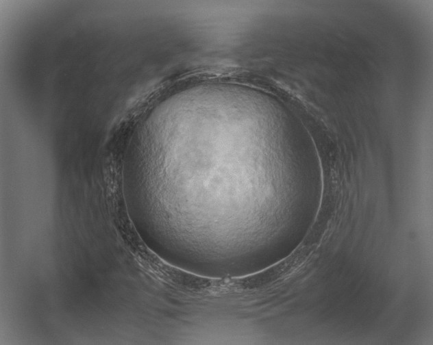 X0000057581447200509191438
