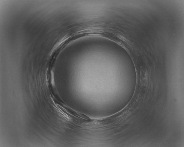 X0000057581450200509191438
