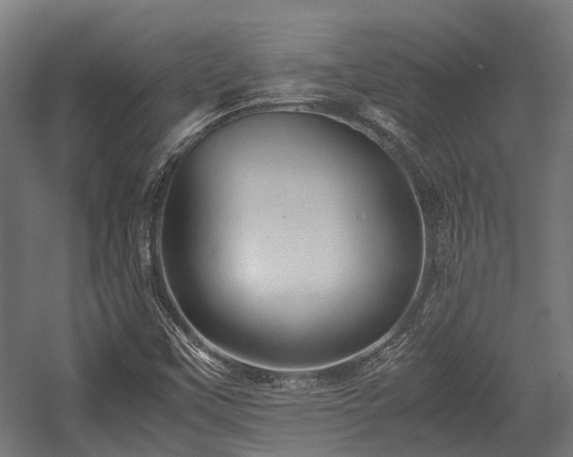 X0000057581451200509191438