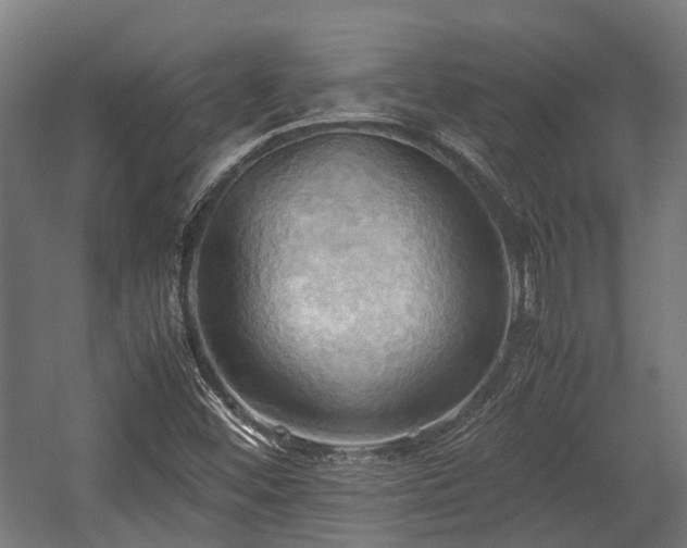 X0000057581452200509191438