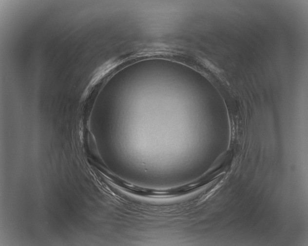 X0000057581453200509191438